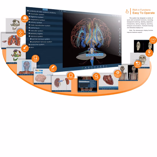 터치스크린을 이용한 3D 해부학 수업을 위한 가상 해부학 테이블